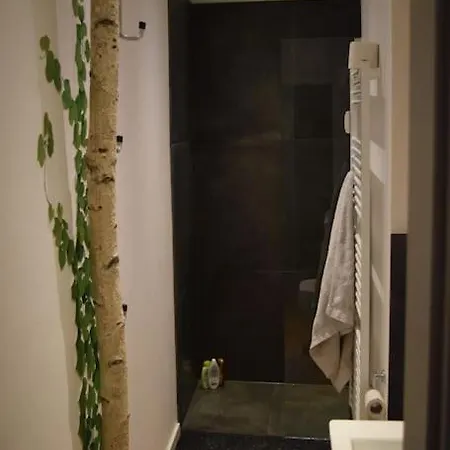 Apartment Hochwertige 4-zimmer-wohnung In Koln-sulz