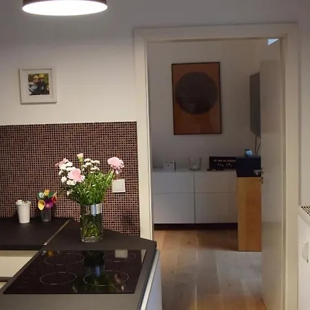 Hochwertige 4-zimmer-wohnung In Koln-sulz Apartment *